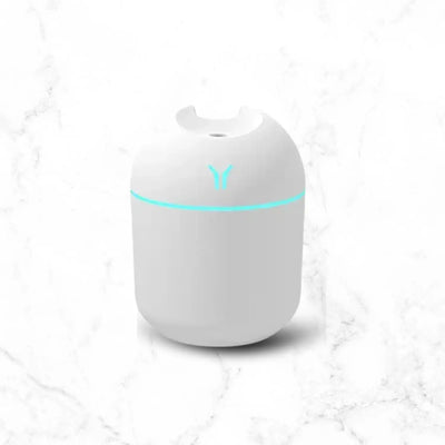 Mini diffuseur d'huile aromatique  Essential  Zeneskincare