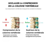 Anatomie du rachis lombaire expliquant les structures et leurs fonctions.